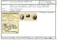 Karteikarte zum Holotyp von Pulvinulina normanni Karrer, 1878